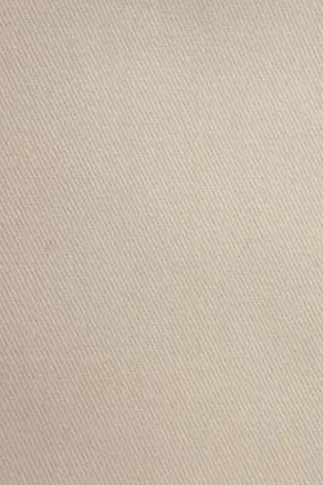 Beige Chinos