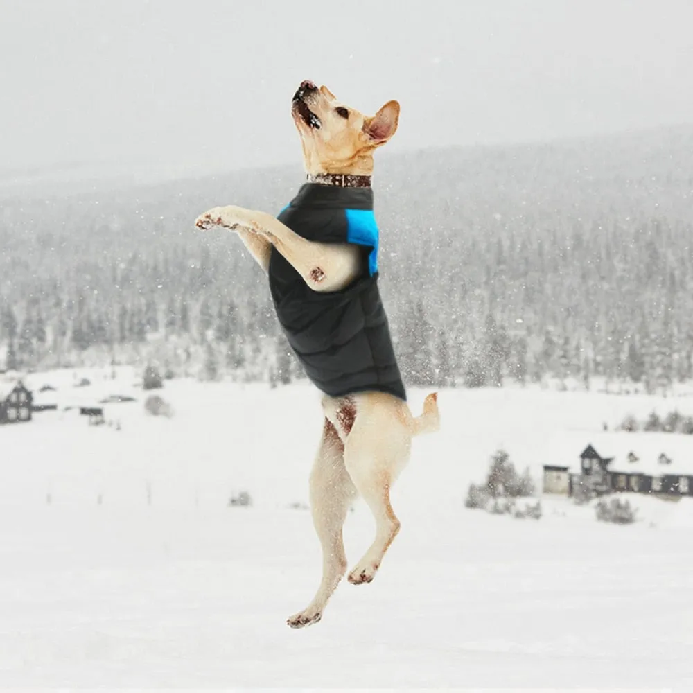 Everyday Winter Vest