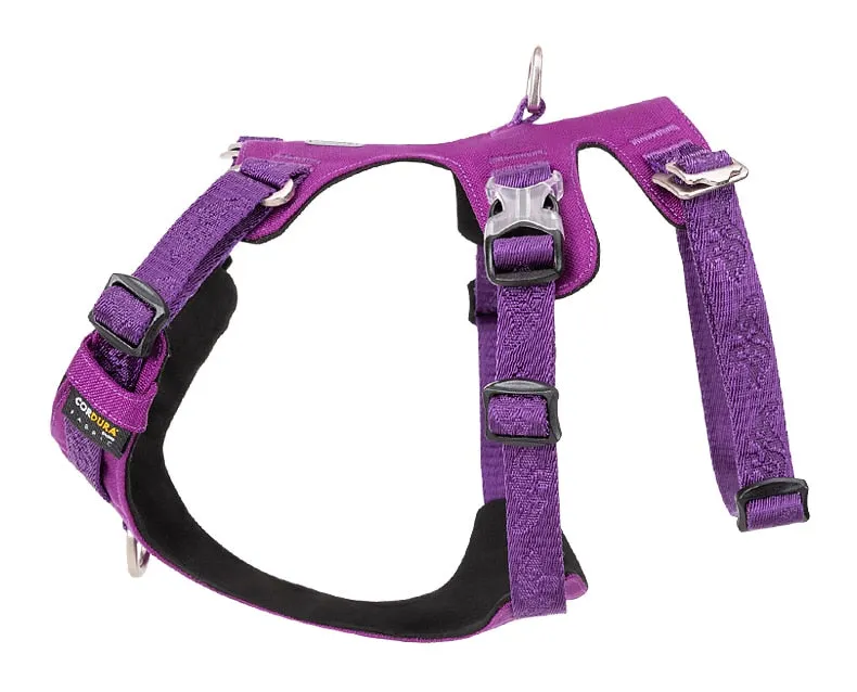 New Frontier Double Harness (No Pull)