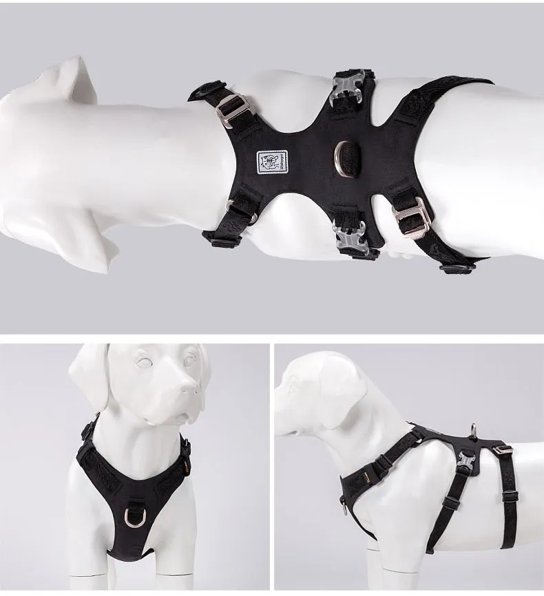 New Frontier Double Harness (No Pull)