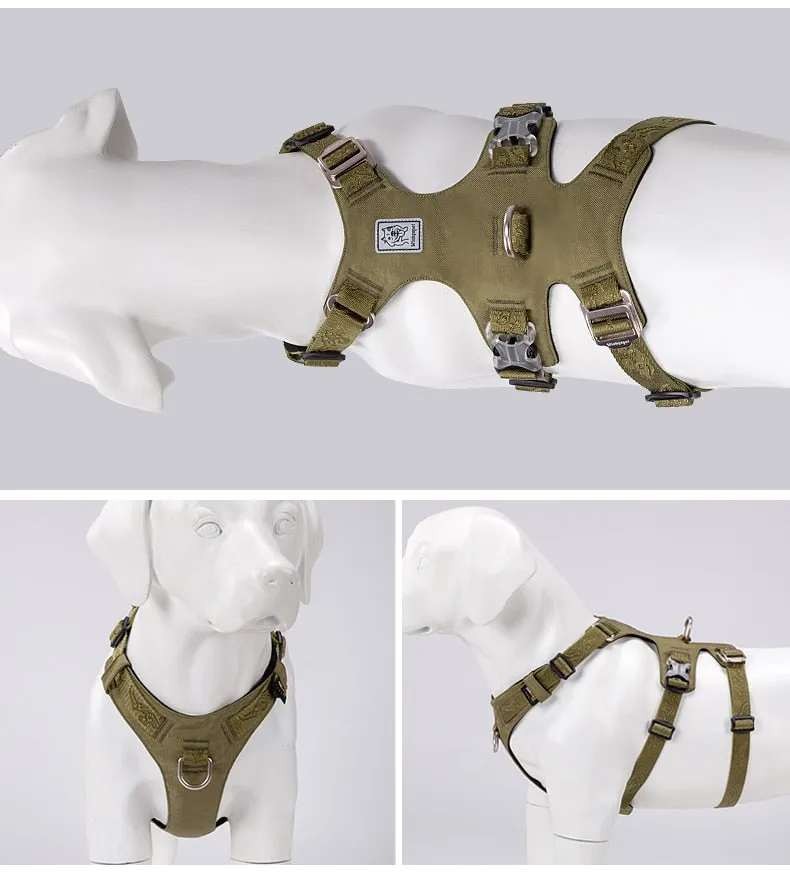 New Frontier Double Harness (No Pull)