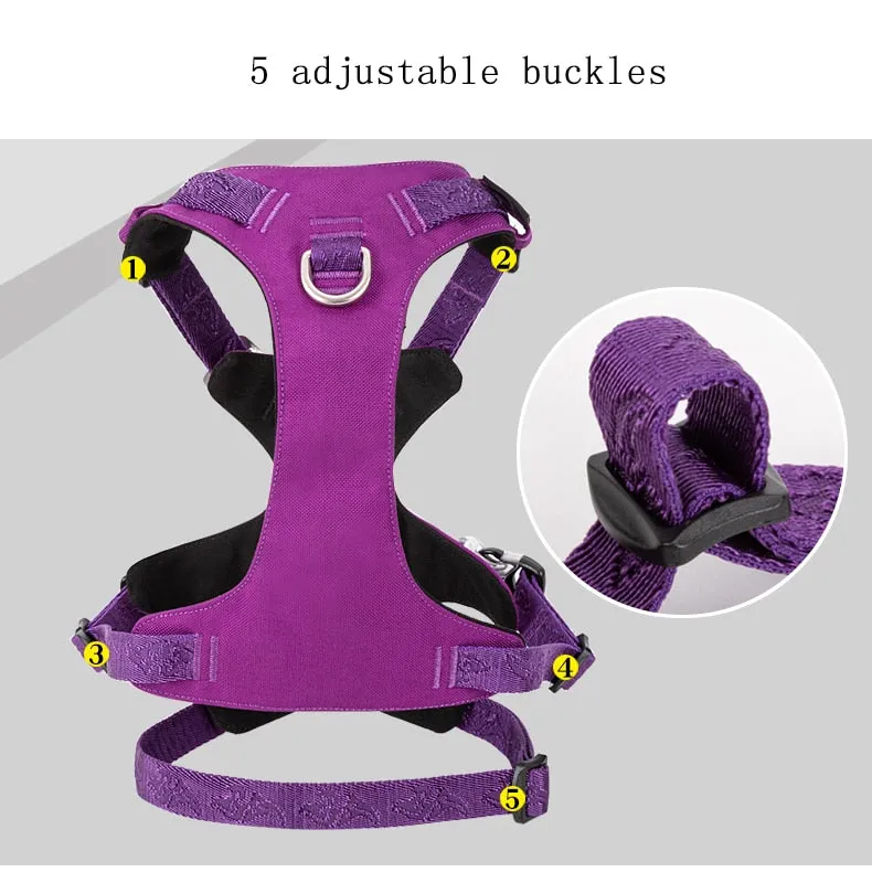 New Frontier Double Harness (No Pull)