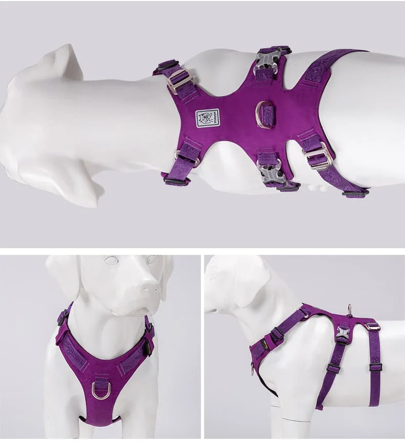 New Frontier Double Harness (No Pull)